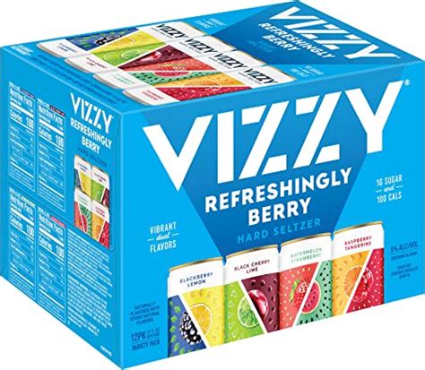 5 Best Vizzy Hard Seltzer Flavors (Ranked 2024)