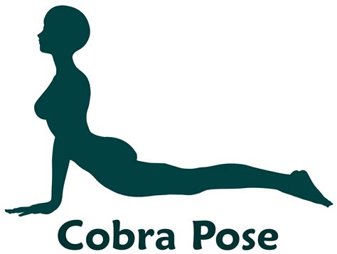 Free photo: Cobra Pose - Body, Cartoon, Clipart - Free Download - Jooinn