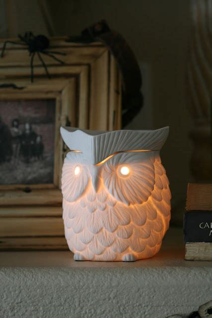 Owl Scentsy Burner. (I love how I'm in this picture) Hahaha! | Scentsy ...