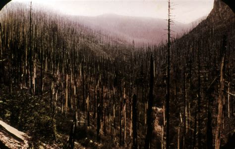 8 Largest Wildfires in US History - Largest.org