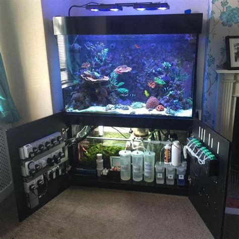 ♥ Fish Care Tips ♥ SMART way to install marine/salt aquarium... I'll ...