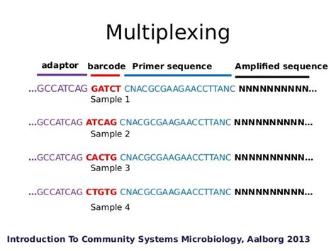 Amplicon Sequencing Introduction