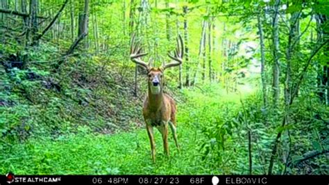 New York Hunter Gets a Second Chance on 180-Inch Buck | Outdoor Life