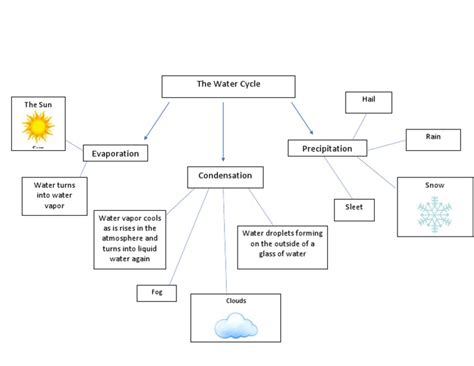 Water Cycle Concept Map | PDF