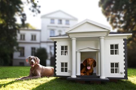 4 Amazing Luxury Dog Houses by Best Friend’s HOME | DigsDigs