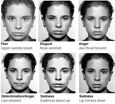 microexpressions-1 Facial Action Coding System, Reading Body Language ...