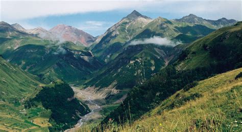 Caucasus Wildlife