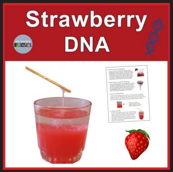 Strawberry DNA Extraction by Dr Dave's Science | TpT