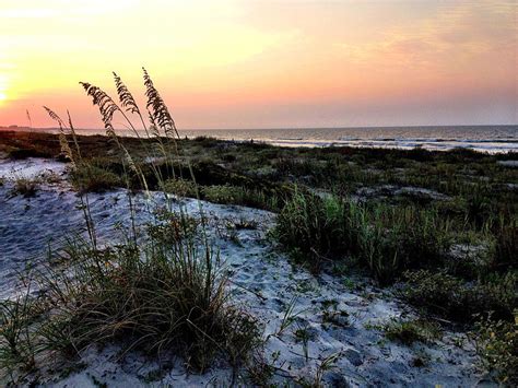 Top 8 Reasons To Visit Kiawah Island, South Carolina | Trip101