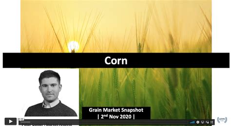 Corn Market Outlook Video - Graintab