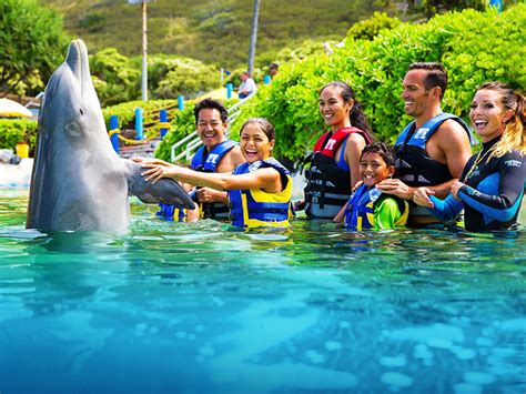 Dolphin Encounter on Oahu | Swim with Dolphins | Sea Life Park Hawaii