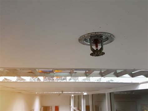 What Are the 4 Types of Fire Sprinkler Heads?