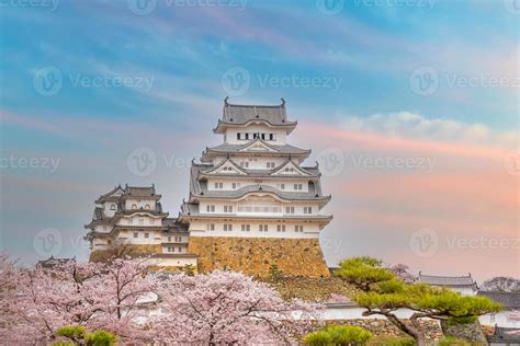 Himeji Castle and full cherry blossom 11103394 Stock Photo at Vecteezy