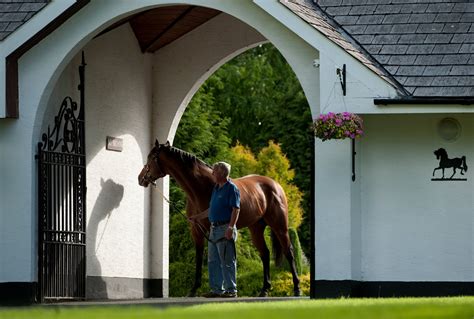 Irish National Stud & Gardens | Back road, Ireland travel, Trip