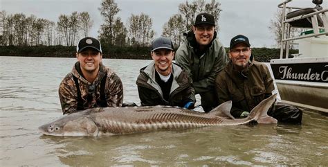 Sturgeon Fishing Tours in BC | Fraser River Lodge