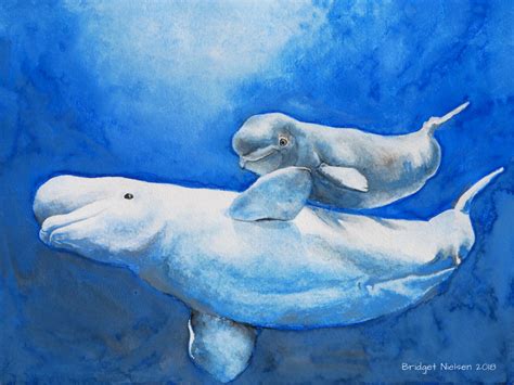 My painting of Beluga Whales :) #whale #beluga #belugawhale #painting #watercolor Beluga Whale ...