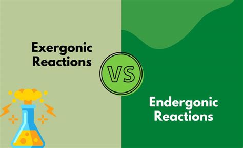 Exergonic Reaction vs. Endergonic Reaction - What's The Difference (With Table)