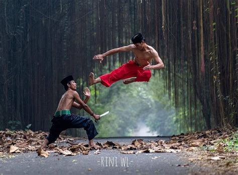 Inspirasi Spesial Silat Martial Arts, Mentahan Brosur