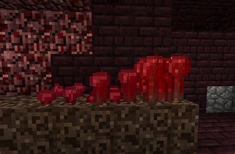 Different growth stages of Nether wart in Minecraft