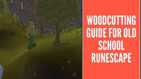 (Detailed Guide) Woodcutting Guide for OSRS [Updated 2020]