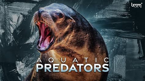 AQUATIC PREDATORS | Sound Effects | Trailer - YouTube