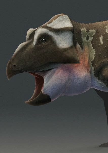 Leptoceratops Fan Casting