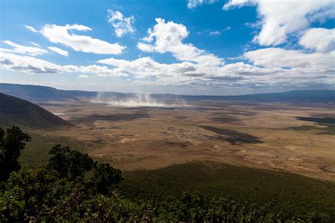 Cratère du Ngorongoro, Tanzanie : Un safari inoubliable