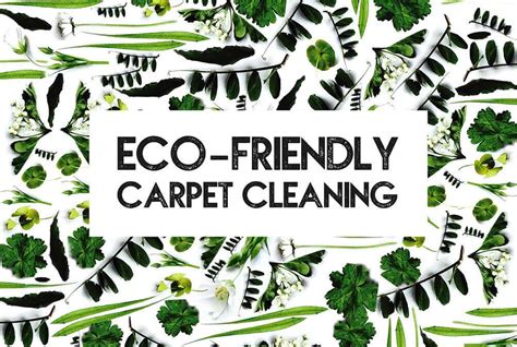 Eco-friendly carpet cleaning in Norfolk | Resolve Carpet Care