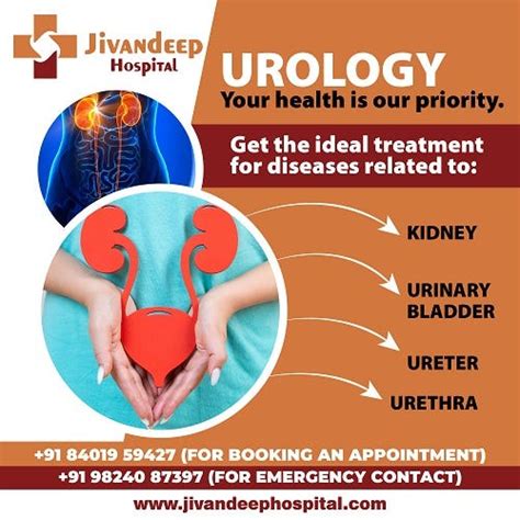 When do you need to consult a urologist? - jivandeep hospital - Medium