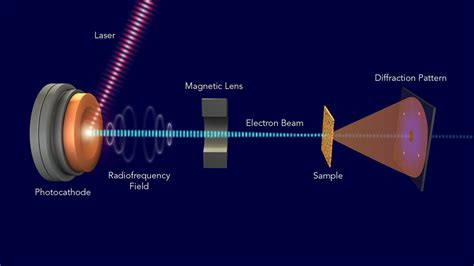 Free Electron Lasers: The Biggest and Brightest Light Sources ...