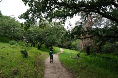 Hiker’s Paradise: Best Santa Rosa Trails - Aloha Aina