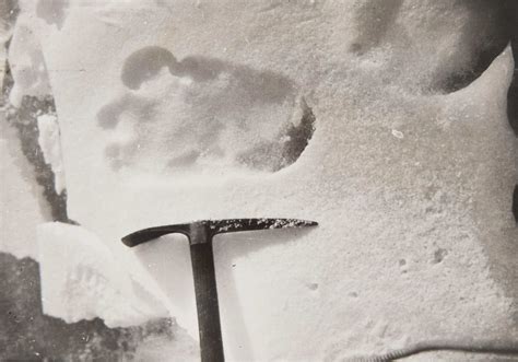 Eric Shipton's Photos of Yeti Footprints Sell for Over £5,000 in Christie's Auction