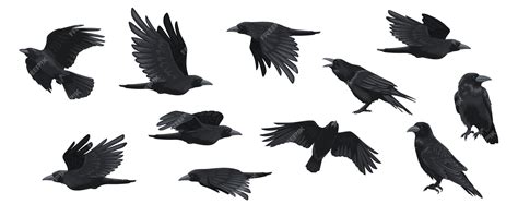 Flying Raven Silhouette Tattoo