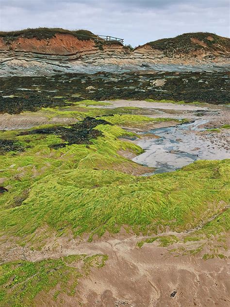 Seahouses Beach Path Photograph by Anne Kotan | Fine Art America