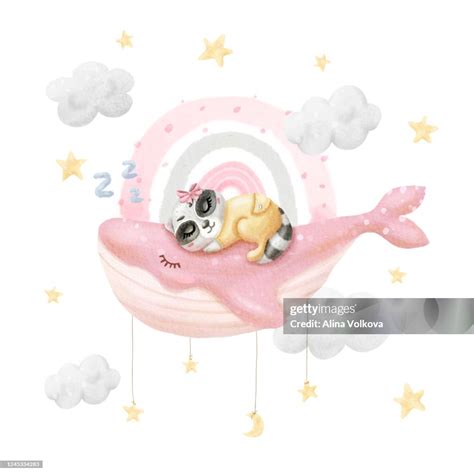 Watercolor Baby Sleeping Raccoon On Whale Cute Sleeping Animal Baby ...