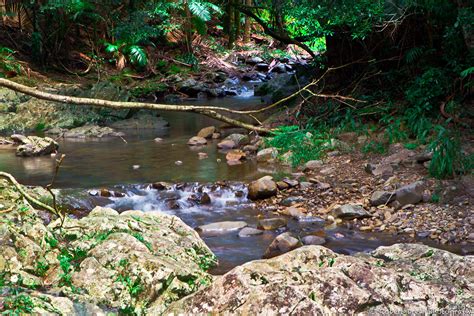 currumbin rock pools | Rock pools, Nature, Outdoor