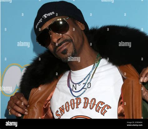 LOS ANGELES - MAR 28: Snoop Dogg, Calvin Broadus Jr at "The Beach Bum ...