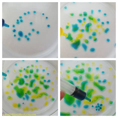 Christmas Science: An Oil and Water Experiment | Inspiration Laboratories