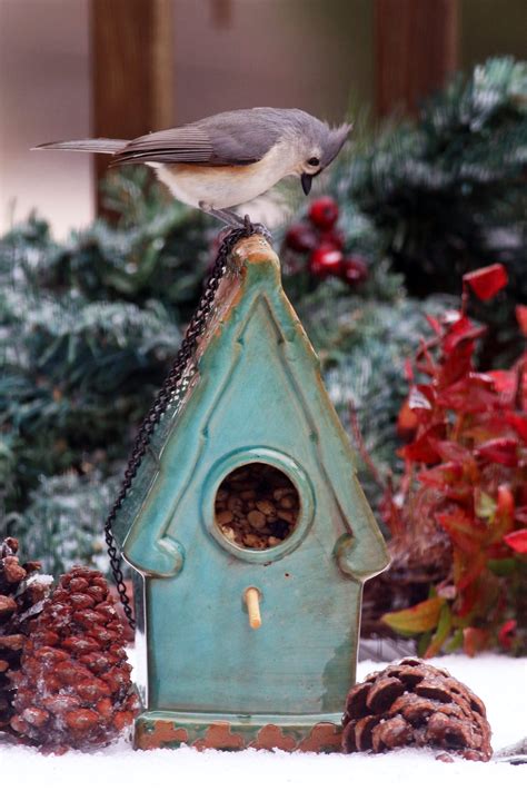 Tufted Titmouse on food house. - Birds and Blooms