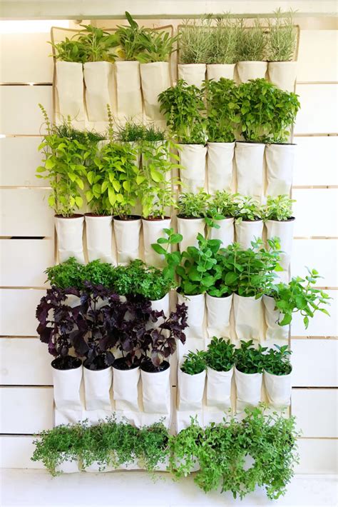 Top 10 DIY Vertical Garden Ideas That You Will Find Helpful