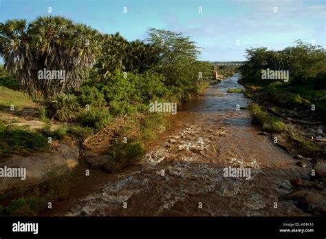 The famous and hard won railway bridge over the Tsavo River Stock Photo - Alamy