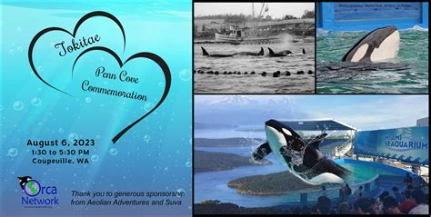 Penn Cove Orca Capture commemoration | The Journal of the San Juan Islands