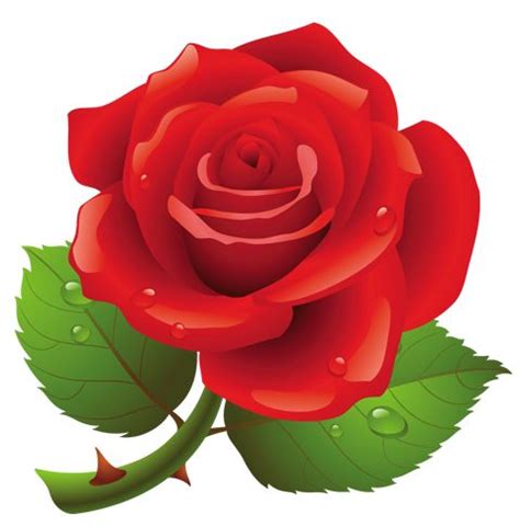 Roses red rose clipart cute clipart – Clipartix