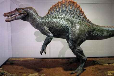 spinosaurus jurassic park - Google Search Spinosaurus, Puzzle Chino, Jurassic World 2015, World ...