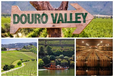 Douro Valley Day Trips from Porto - Hellotickets