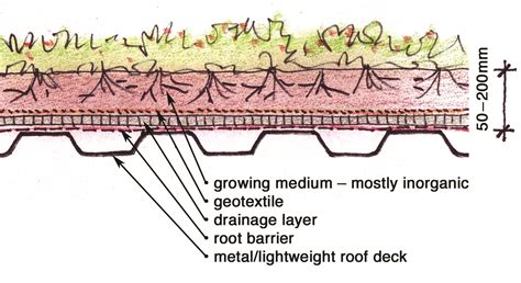 Green Roof Construction - Home Design Ideas