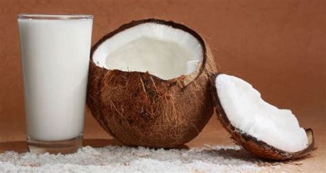 10 Receitas com Leite de Coco Low Carb - MundoBoaForma.com.br