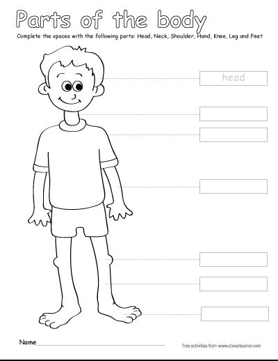 Number 4 Coloring Pages Preschool Body