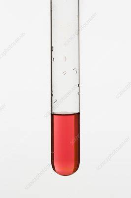 Cobalt (II) chloride solution - Stock Image - C029/5895 - Science Photo ...