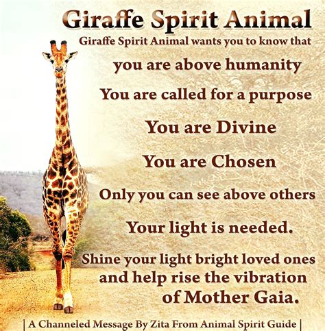 Giraffe Spirit Animal | Spirit animal, Animal spirit guides, Spirit guides